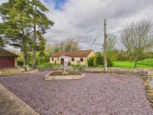 Front garden/feature- click for photo gallery